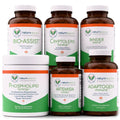 Intracellular Support Kit