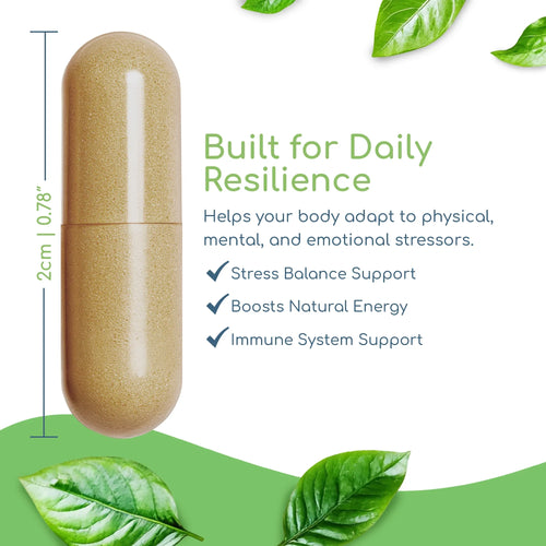 Adaptogen Immune capsule showing 2cm size with stress balance, natural energy, and immune system support benefits