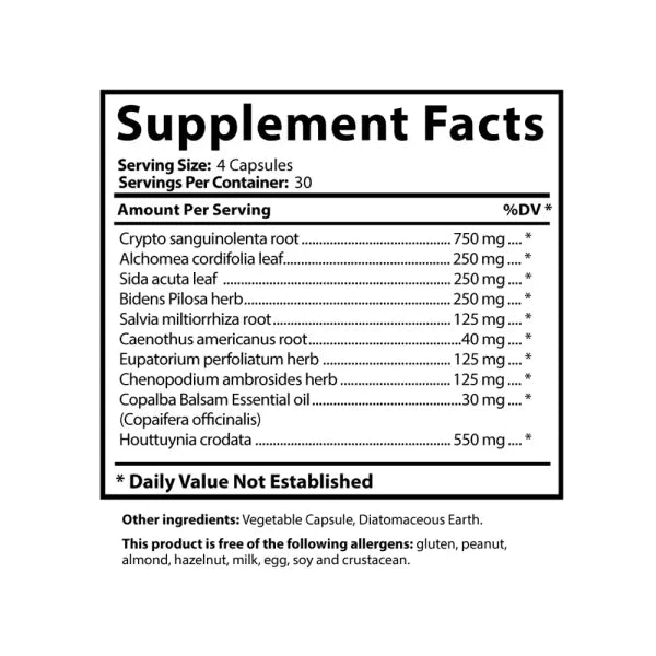 Cryptolepis Synergy | Whole-Herb Microbial & Immune Support